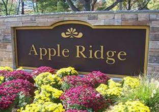apple ridge