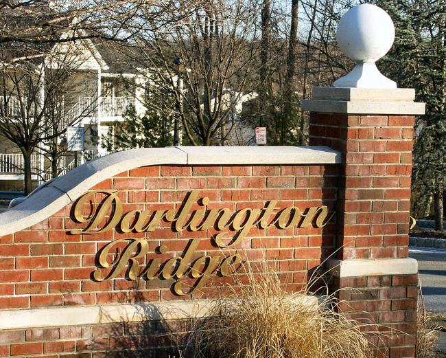 darlington_ridge