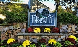 TIMBER VALLEY